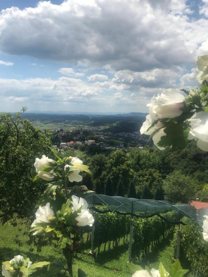 Kuca Za Odmor Magdalena&V Appartement Krapina Buitenkant foto