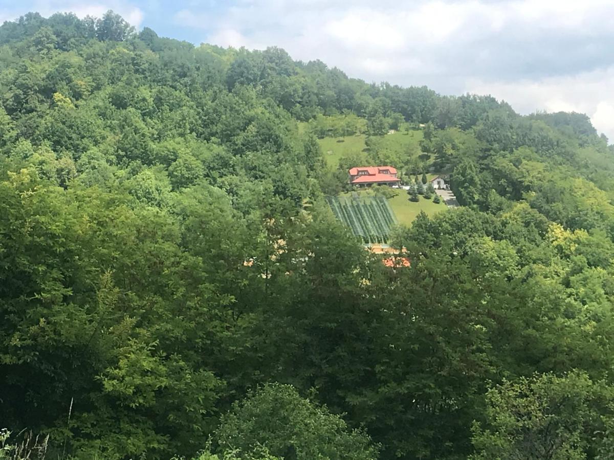 Kuca Za Odmor Magdalena&V Appartement Krapina Buitenkant foto