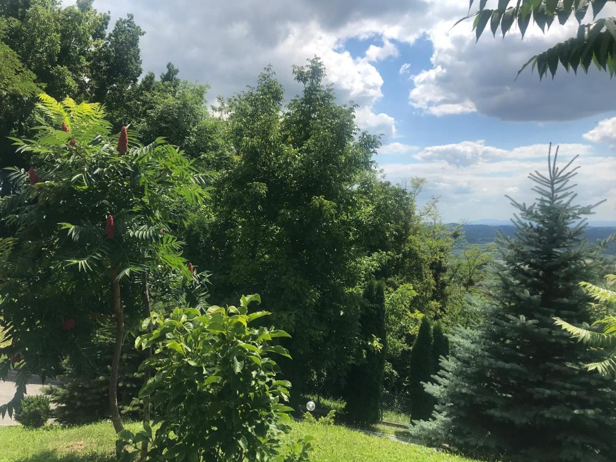 Kuca Za Odmor Magdalena&V Appartement Krapina Buitenkant foto